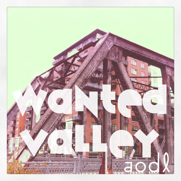 aodl, Wanted Valley